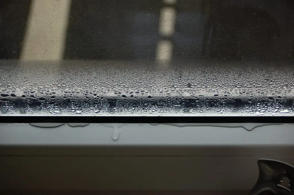 Nässe am Fenster