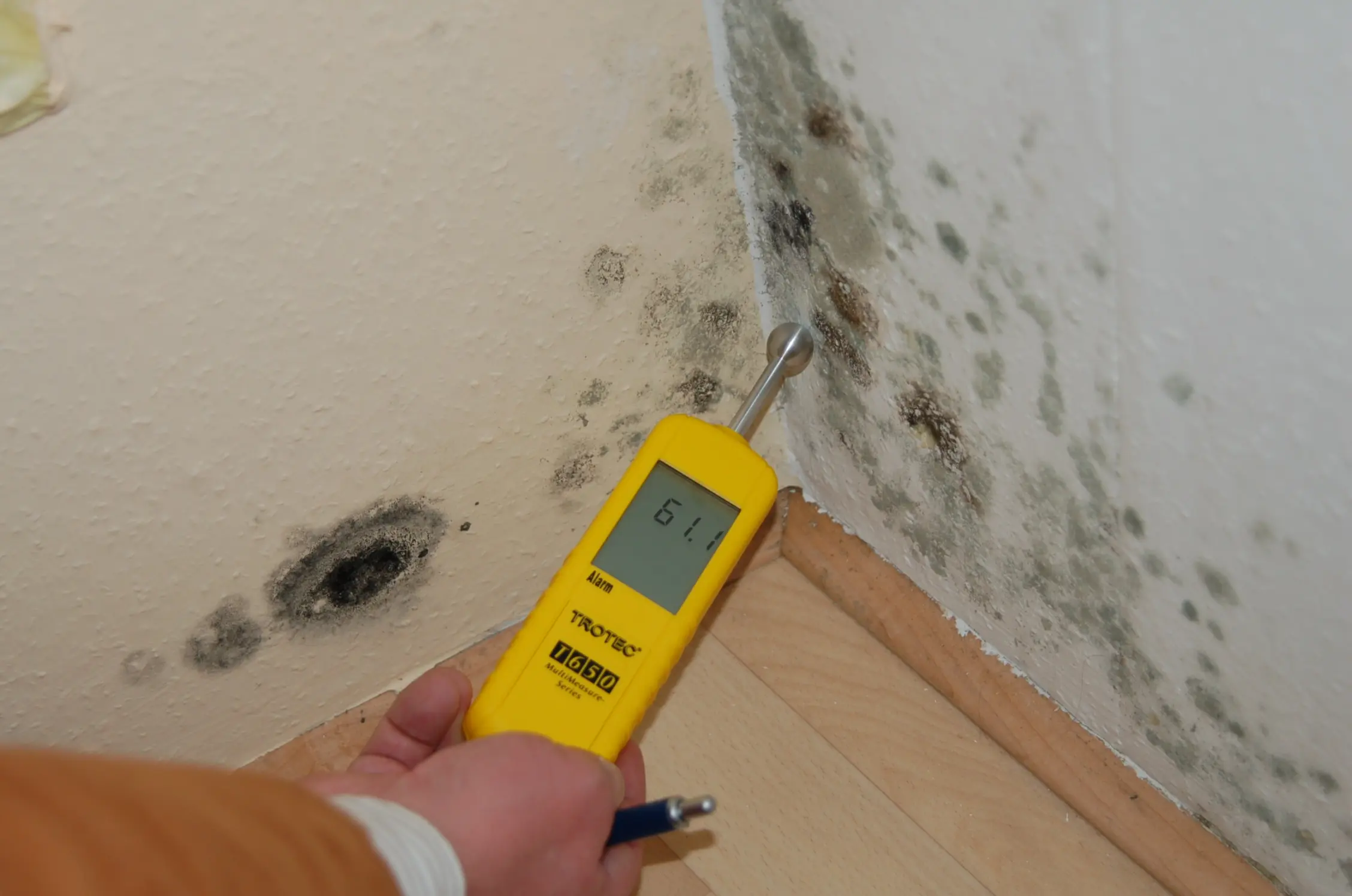 Schimmel-Messung Gutachter