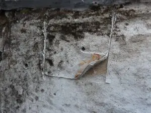 Schwarzer Schimmel in der Wohnung