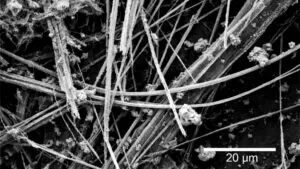 Asbest Fasern Mikroskop